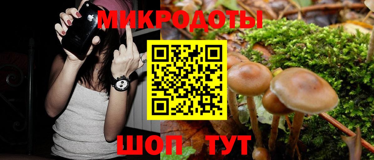 Красноперекопск  что такое наркотик  Галлюциногенные грибы прущие грибы  Вход с VPN  Галлюциногенные грибы мицелий 
